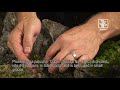 The advanced plant aquarium, Tropica Aquarium Plants