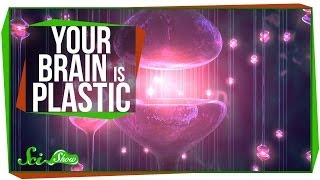 Your Brain is Plastic