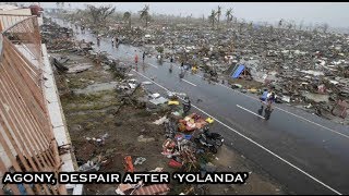 Smell of Death, scenes of despair after 'Yolanda'