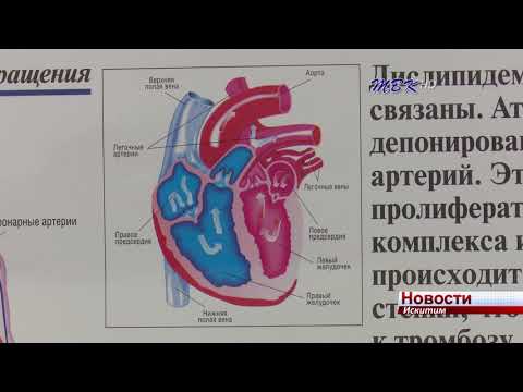 Заболевания сердца и сосудов чаще всего становятся причиной смерти искитимцев Заболевания сердца и сосудов чаще всего становятся причиной смерти искитимцев