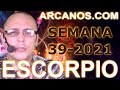 Video Horscopo Semanal ESCORPIO  del 19 al 25 Septiembre 2021 (Semana 2021-39) (Lectura del Tarot)