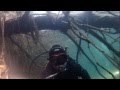 Chrisdiving Ecole de plongée loisir, Dive in Wallis