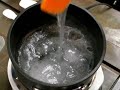 Make your own bioplastic