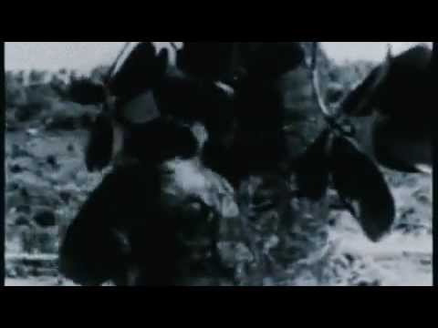 Film Hantu Jerangkung 1957 Part 1 | hantu jerangkung 1957 full movie youtube Film Hantu Jerangkung 1957 Part 1 | hantu jerangkung 1957 full movie youtube