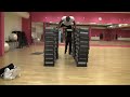 World's Highest Flying Push-Up! (RecordSetter.com)
