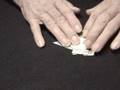 elefante-origami-dolar-113 elefante-origami-dolar-113