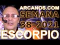Video Horscopo Semanal ESCORPIO  del 12 al 18 Septiembre 2021 (Semana 2021-38) (Lectura del Tarot)