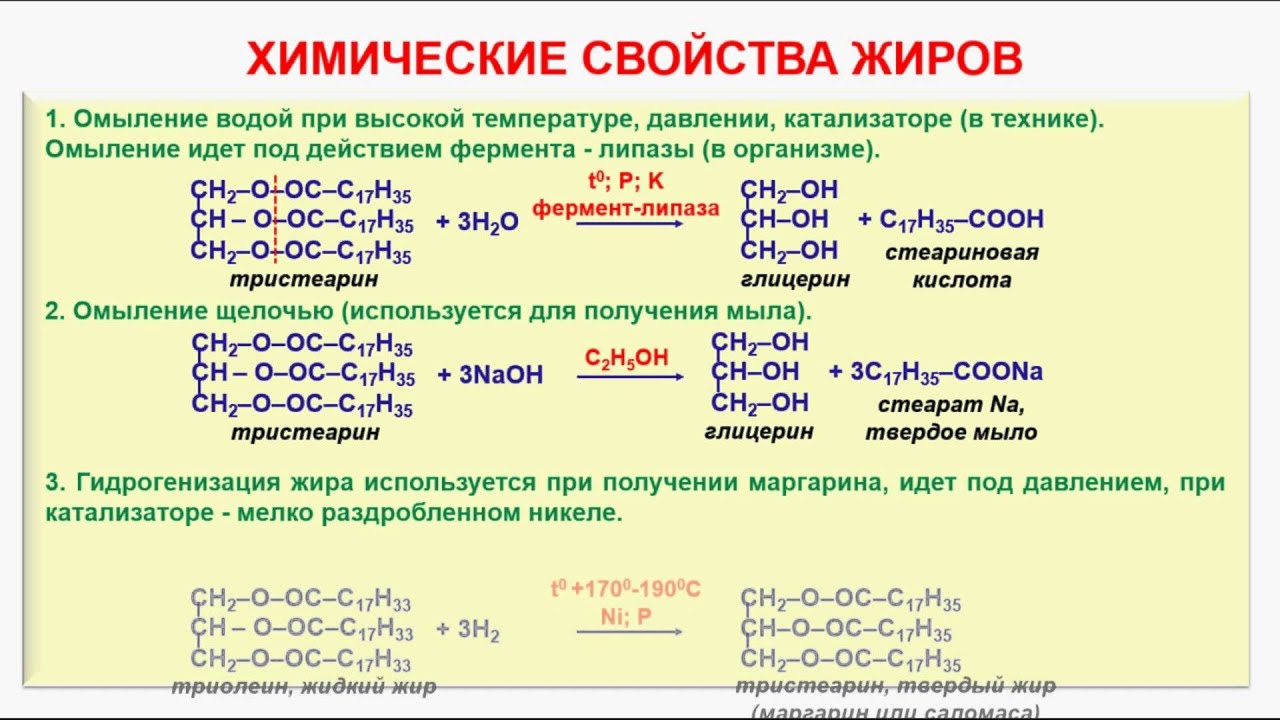 Ферментативный гидролиз жиров схема Ферментативный гидролиз жиров схема