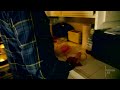 Cooking Fish with Musician Mike Watt