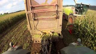 [GoPro] Maisernte 2013 ~ 2x Fendt 936 Vario | Fendt 820 Vario | Claas Jaguar 950 | Schuitemaker | HD