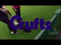 Agility | Jumping | Small Dogs Winner | Crufts 2014