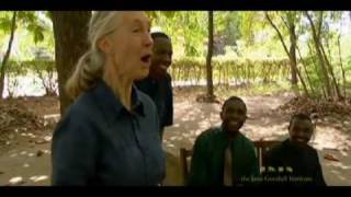 Jane Goodall's Roots & Shoots Jane Goodall's Roots & Shoots