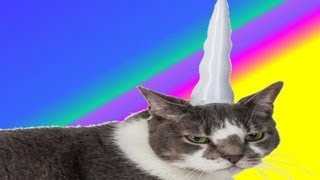 Inflatable Unicorn Horn for Cats