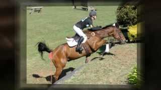 Sitckability Winner Eventing NZ Bell Tea Awards 2013