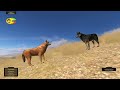 Wolf Quest Part 2 - I'm Boss, Back Off