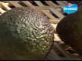Comment faire mûrir un avocat plus vite
