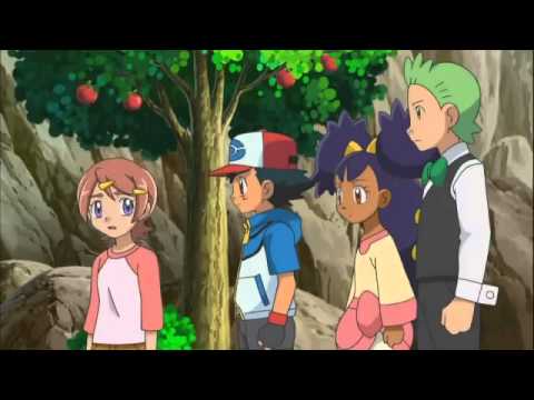 Hình ảnh trong video Pokemon tap 794