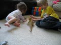 Bearded dragon Nacho and our kids!