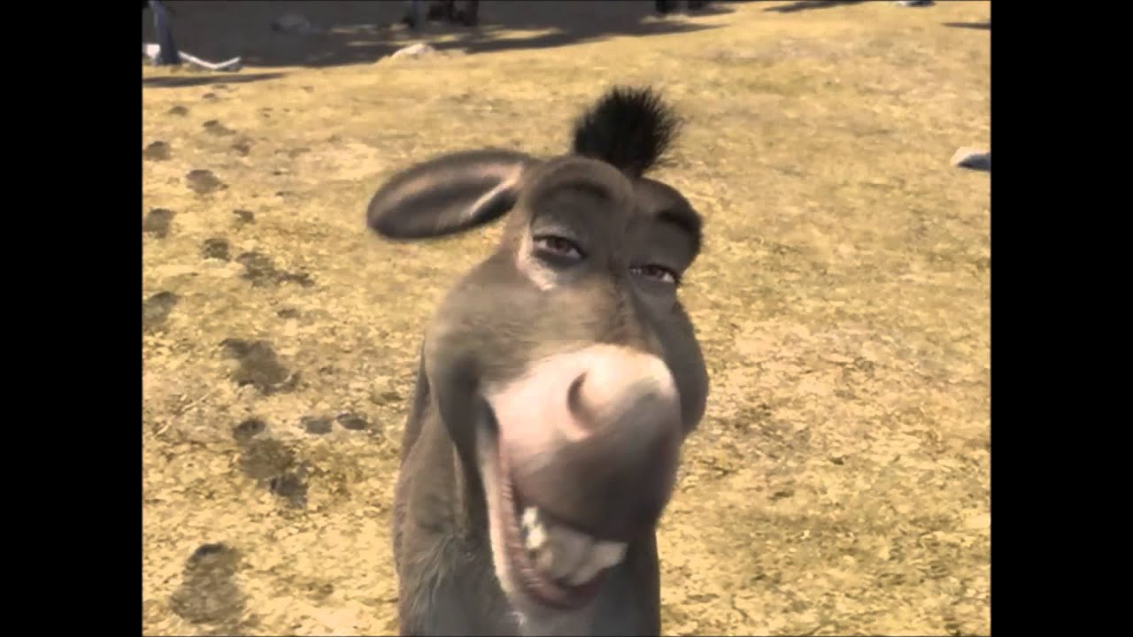 Donkey: "Really?" - Shrek - YouTube