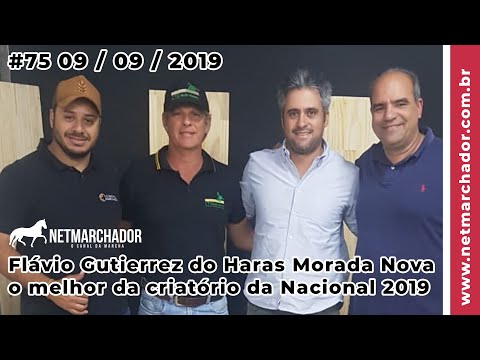 #75 No Trilho da Marcha - 09/09/201 com Flávio Gutierrez Haras Morada Nova - Mangalarga Marchador