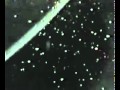 NASA UFO STS-63 - watch it again