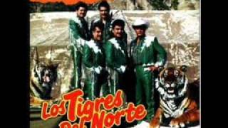 La oferta los tigres del norte.