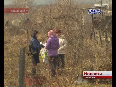 Жительница Искитима два года пытается доказать факт кражи имущества