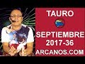 Video Horscopo Semanal TAURO  del 3 al 9 Septiembre 2017 (Semana 2017-36) (Lectura del Tarot)