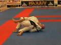 Roberto Godoi - Panamericano de Jiu Jitsu 2008