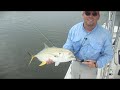 Canal Tuna Reloaded! Jack Crevalle Cape Coral Fishing Charters