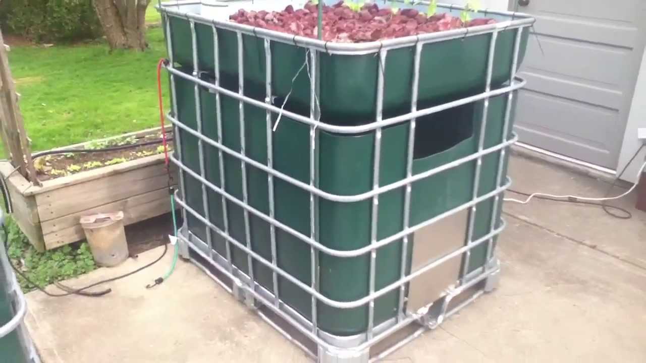 IBC Tote Aquaponic System "Full Cage" 2013 - YouTube