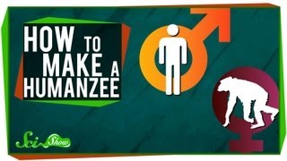 How to Make A Humanzee