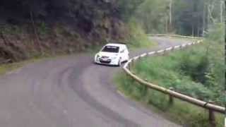 First video of Hyundai i20 WRC