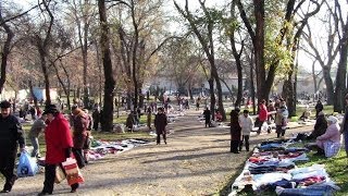 Parcul Central din Bălți, pe cale de dispariție