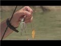 Fishing Lures & Baits : How To Work A Spinner Bait - Youtube