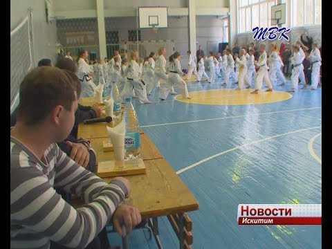 Ударную технику рук и ног успешно осваивают юные искитимцы Ударную технику рук и ног успешно осваивают юные искитимцы