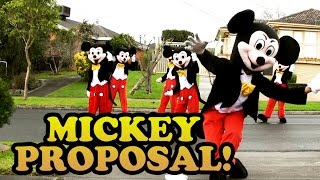 Mickey Mouse Proposal! (Jehan & Vish 2014)