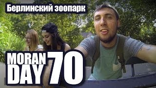 Moran Day 70 - Берлинский зоопарк