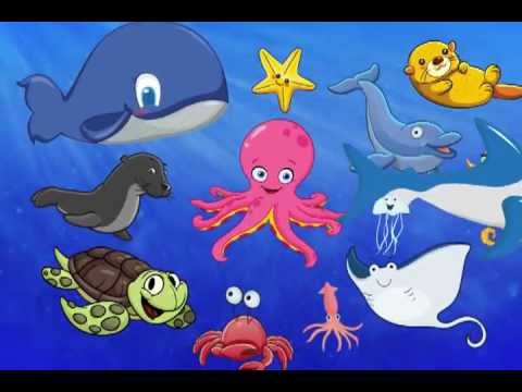 The First Sea Animal Words for Toddlers Fun Show - YouTube