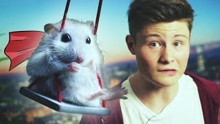 Flying Hamster (feat. Dner)