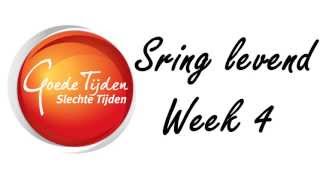 GTST SpringLevend - Code 1 Week 4