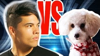 MAN vs. DOG