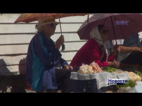Должен ли и может ли бердчанин пенсионного возраста работать?