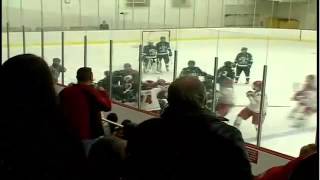 Ohio State vs. Bemidji State women's hockey fight -- 11/8/13