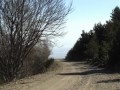 vers la tour de Batère