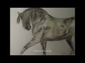 Pastels de chevaux 2012