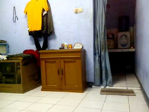 ngentot dikos - YouTube