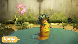 Larva  - Mořská panna