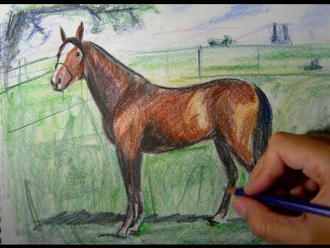 How to draw a horse with colored pencils - Things to Draw - YouTube
