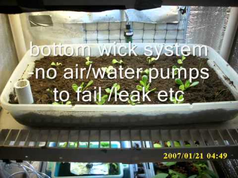 ... Bottom Wick system garden aka self watering Hydroponics - YouTube